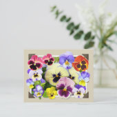 Pansy Delight Briefkaart (Staand voorkant)