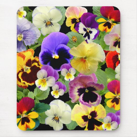 PANSY DELIGHT MUISMAT (Voorkant)