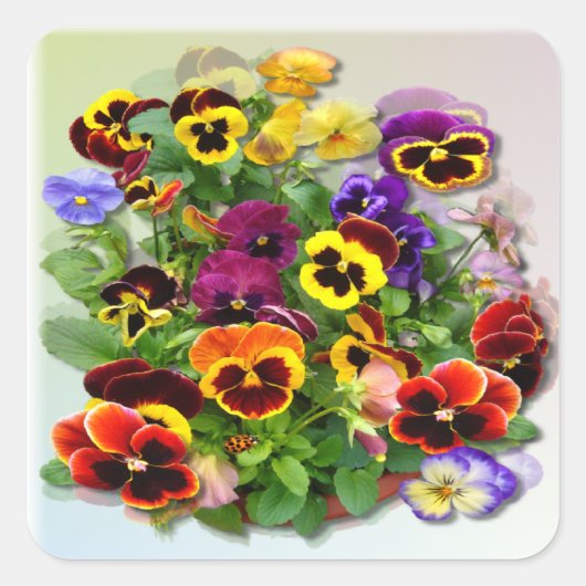 PANSY DELIGHT ~ Vierkante envelop Sealer / Sticker (Voorkant)