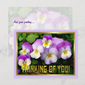 Pansy ~ Denking of you ~ Briefkaart (Voorkant / Achterkant)