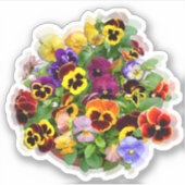 Pansy Display aangepaste vinylSticker Sticker (Voorkant)