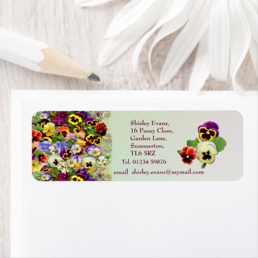 Pansy Display Etiket (Insitu)