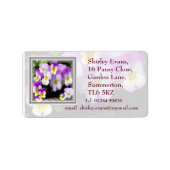 Pansy Display ~ Label # 3 (Voorkant)