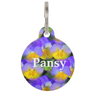 Pansy echoes huisdierpenning