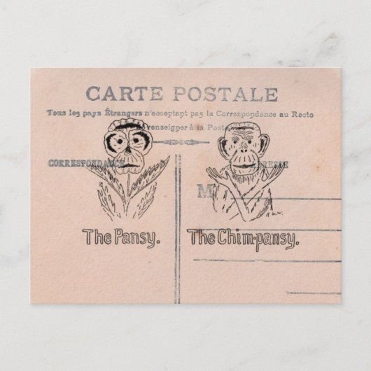 Pansy en Chimp Humor Briefkaart (Voorkant)