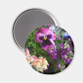 Pansy et amis Magnet (Recto/Verso)