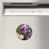 Pansy et amis Magnet (In Situ (Lave-vaisselle))