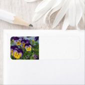 Pansy étiquette de adresse (En situation)