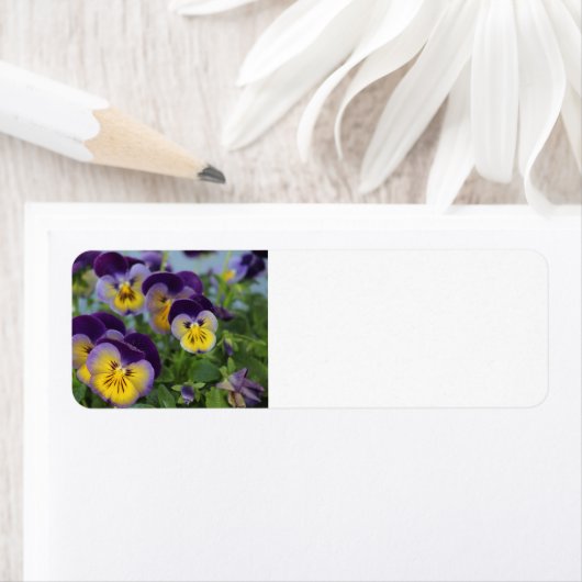 Pansy étiquette de adresse (En situation)