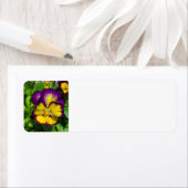 Pansy étiquette de adresse (En situation)