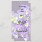 Pansy Family Reunion Programma (Voorkant / Achterkant)