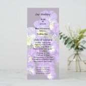 Pansy Family Reunion Programma (Staand voorkant)