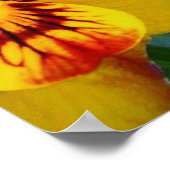 Pansy Flowers ~ Poster (Coin)