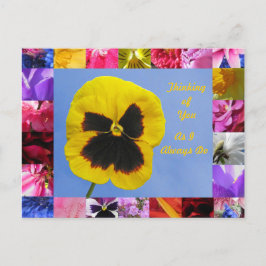 Pansy Garden Briefkaart
