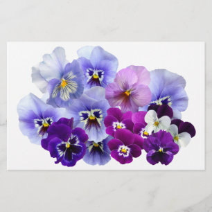 Pansy Isolated Violet Natuur Flower Violet Family. Briefpapier