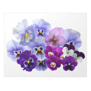 Pansy Isolated Violet Natuur Flower Violet Family. Notitieblok