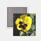 Pansy Magnet (Recto/Verso)