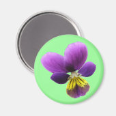  Pansy Magnet Magneet (Voorkant / Achterkant)