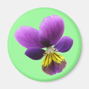  Pansy Magnet Magneet
