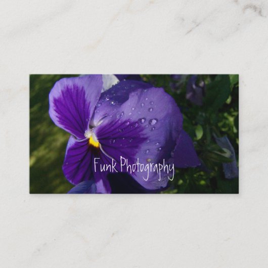 Pansy met waterdruppels visitekaartje (Voorkant)