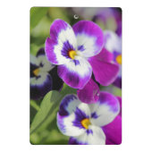 Pansy Mini Klembord (Achterkant)