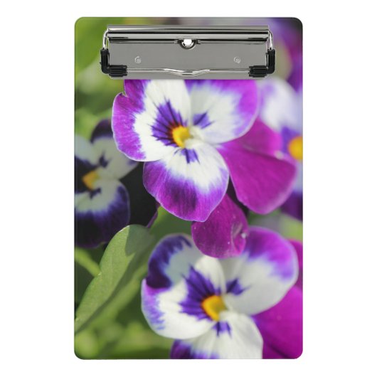 Pansy Mini Klembord (Voorkant)