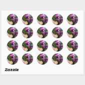 PANSY N AMIS STICKERS (Feuille)