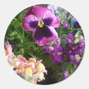 PANSY N FRIENDS STICKERS