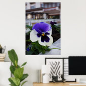 Pansy op de stoep poster (Thuiskantoor)