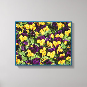 Pansy Overload Uitgerekt Canvas Print