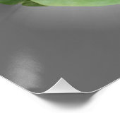 Pansy paars wit perfect poster (Hoek)