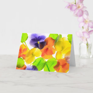 Pansy Party krijgt goed Kaart