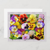 PANSY PATCHWORK BRIEFKAART (Voorkant / Achterkant)