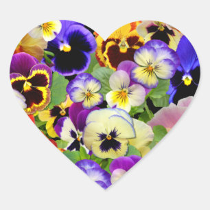 PANSY PATCHWORK HART STICKER