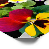 PANSY PATCHWORK ~ PRINT/POSTER POSTER (Hoek)