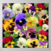 PANSY PATCHWORK ~ PRINT/POSTER POSTER (Voorkant)