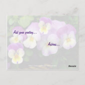 Pansy ~ Pensée de vous ~ Carte postale (Dos)