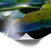 Pansy Perfection Foto Afdruk (Hoek)