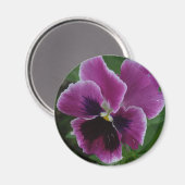 Pansy Pictures Round Magnet (Recto/Verso)