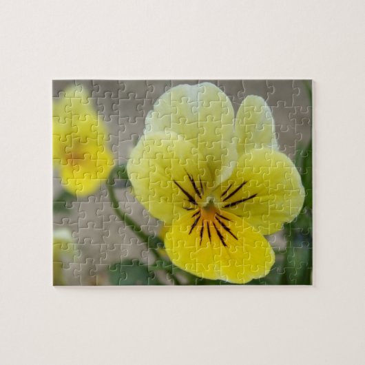 Pansy Puzzle Legpuzzel (Horizontaal)