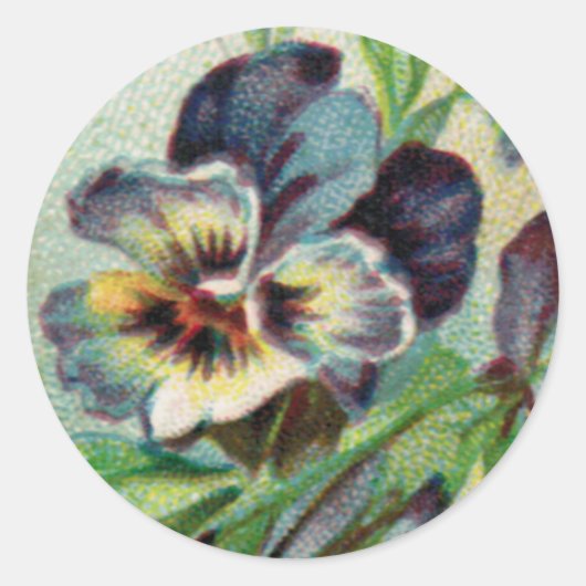  Pansy Ronde Sticker (Voorkant)