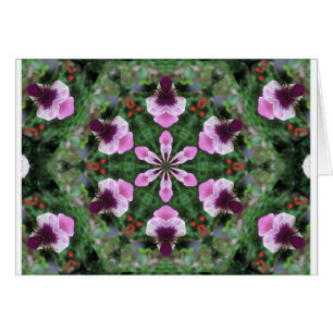 Pansy rose