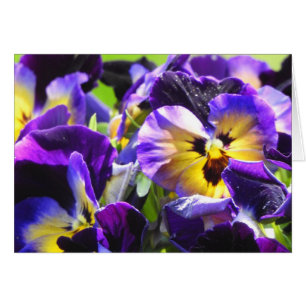 Pansy Small Hartelijk-dank kaarten, klein (4 x 5,6