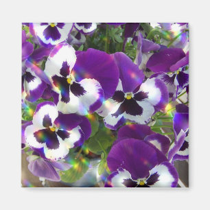 Pansy Square Magnet Magneet