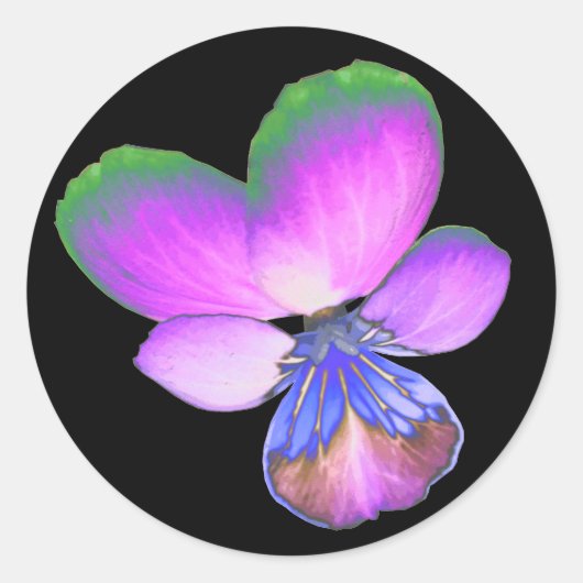  Pansy Sticker (Voorkant)