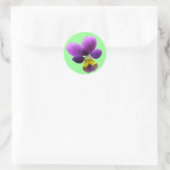  Pansy Sticker (Tas)
