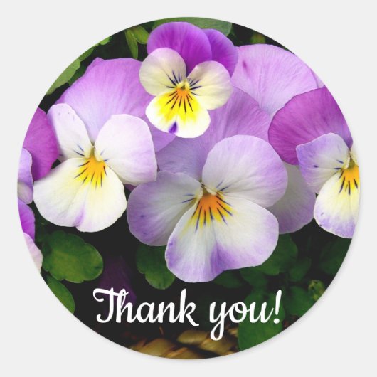Pansy Thand you Ronde Sticker (Voorkant)