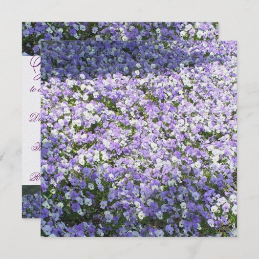 Pansy Uitnodiging (Voorkant / Achterkant)