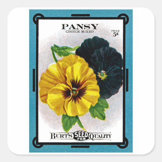 Pansy Vierkante Sticker (Voorkant)