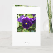 Pansy violet profond, Carte de voeux (Dos)